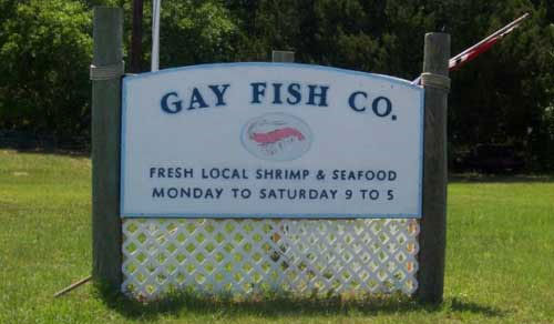 worst business names